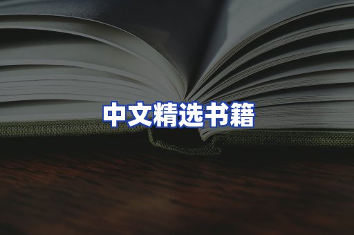 中文精选书籍